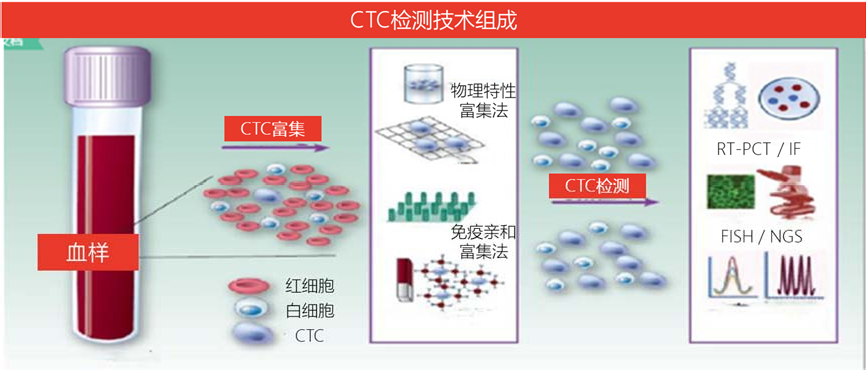 CTC检查是什么检查-癌查查ctc检查机构|循环肿瘤细胞医院-CTDNA检测公司
