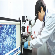 杭州肺癌靶向药基因检测详解：机构专业性、治疗后基因监测及费用