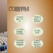 CTC检测费用、武汉CTC检测医院排名与CTC检测在癌症治疗中的作用